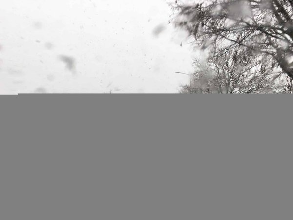 L'importance cruciale du référencement naturel pour être visible sur internet